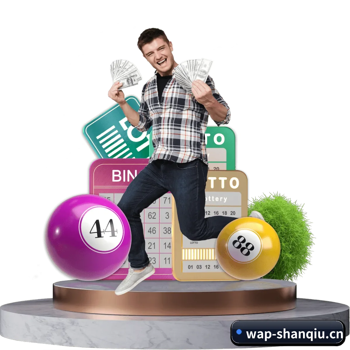 闪球体育 APP